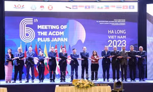 Thúc đẩy hợp tác giữa ACDM với Nhật Bản, Trung Quốc trong quản lý thiên tai