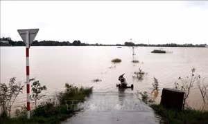 Quảng Trị: Khoảng 800 ngôi nhà bị ngập lụt do mưa lũ
