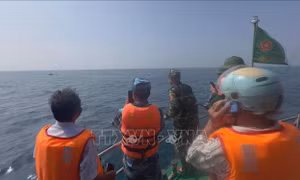 Khen thưởng các tập thể, cá nhân có thành tích trong tìm kiếm, cứu hộ tàu cá gặp nạn trên biển