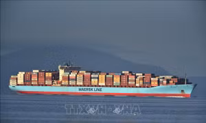 Một hãng tàu container tái đình chỉ hoạt động lưu thông qua Biển Đỏ
