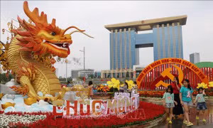 Bình Dương: Khai mạc đường hoa và Hội hoa Xuân