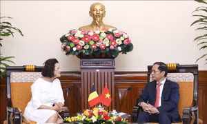 Bộ trưởng Ngoại giao Bùi Thanh Sơn tiếp Chủ tịch Thượng viện Bỉ Stephanie D’Hose