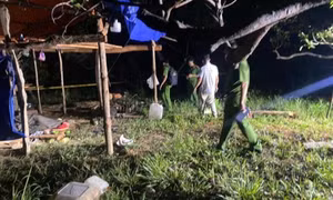 Điều tra nhiều vụ việc an ninh trật tự trên địa bàn tỉnh Bình Dương