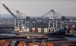 WTO ra phán quyết cho phép Trung Quốc áp thuế lên 645 triệu USD hàng hóa của Mỹ