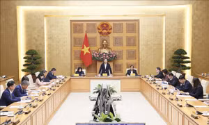 Cần tầm nhìn xa khi thực hiện chính sách đối với người cao tuổi