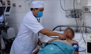 Cứu sống bệnh nhân cao tuổi bị ong vò vẽ đốt trên 70 vết