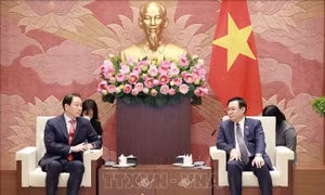Chủ tịch Quốc hội Vương Đình Huệ tiếp Chủ tịch Tập đoàn SK, Hàn Quốc 