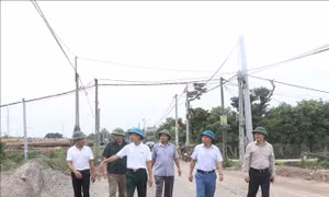 Dự án đường Vành đai 4: Hưng Yên sẵn sàng khởi công xây dựng đường đô thị