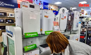 Sôi động thị trường máy sấy, máy hút ẩm