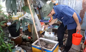 Số ca sốt xuất huyết giảm nhưng người dân không nên chủ quan