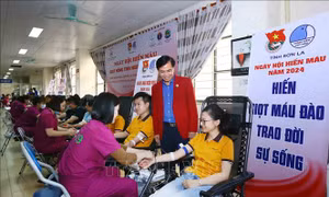 Phát huy tinh thần xung kích, tình nguyện vì cuộc sống cộng đồng