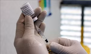 Việt Nam dự kiến mua 150 triệu liều vaccine phòng COVID-19 để tiêm phòng cho khoảng 75 triệu người. Ảnh: TTXVN