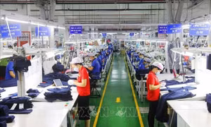 30.000 lượt doanh nhân, doanh nghiệp sẽ được hỗ trợ kết nối quốc tế