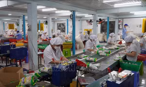 Để doanh nghiệp thoát khỏi dòng 'xoáy' khó khăn