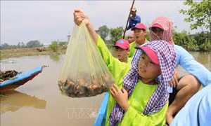 Du lịch ĐBSCL và 'bài toán' sản phẩm - Bài cuối: Khai thác hiệu quả các giá trị tài nguyên đặc thù