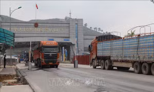 Lạng Sơn thúc đẩy xuất nhập khẩu hàng hóa qua cửa khẩu Chi Ma