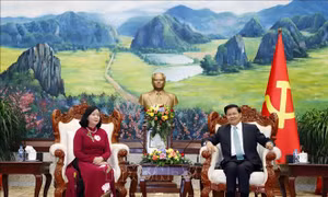 Đoàn đại biểu cấp cao Đảng Cộng sản Việt Nam thăm và làm việc tại Lào