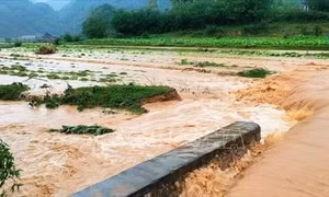 Mưa lớn kèm gió lốc gây nhiều thiệt hại tại Lạng Sơn