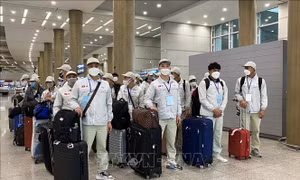Đưa người lao động đi làm việc ở nước ngoài: Giảm tiền kiểm theo rủi ro, tăng hậu kiểm bằng dữ liệu