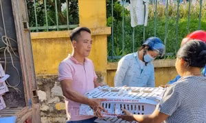 Thanh niên Tuyên Quang phát triển du lịch dưới tán rừng 