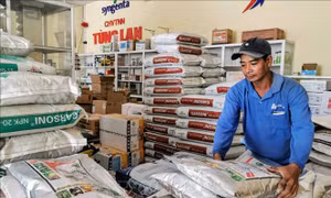Giảm chi phí sản xuất để tăng lợi nhuận cho nhà nông