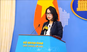 Việt Nam kiên quyết đấu tranh phòng, chống di cư trái phép