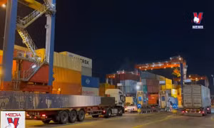 Vụ 5 container điều xuất khẩu sang Algeria: Doanh nghiệp có nguy cơ mất trắng