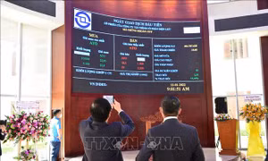 Trò chuyện với chuyên gia chứng khoán đầu năm Nhâm Dần 2022