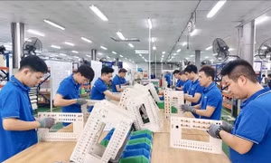 Năng suất lao động cần lời giải đồng bộ từ đào tạo đến an sinh