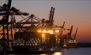 Đức xem xét lại quyết định cho phép Trung Quốc mua cổ phần tại cảng Hamburg