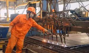 Hành trình định vị Thương hiệu Vàng TP Hồ Chí Minh