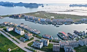 Cương quyết đình chỉ hoạt động các cơ sở kinh doanh du lịch dịch vụ vi phạm