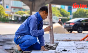 Hà Nội đánh giá sơ bộ về nguyên nhân vỉa hè lún nứt