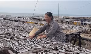 Hải sản khô 'trầm lắng' trước Tết