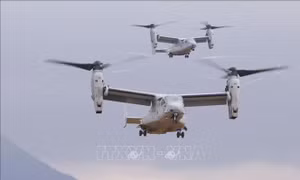 Mỹ lên kế hoạch nối lại việc sử dụng máy bay Osprey tại Nhật Bản