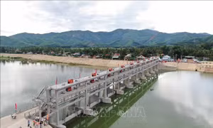 Phòng, chống hạn, xâm nhập mặn vụ Hè Thu