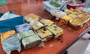 Công an Lai Châu phá thành công tụ điểm mua bán ma túy phức tạp