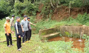 Nhiều trang trại chăn nuôi tại Gia Lai vi phạm về bảo vệ môi trường