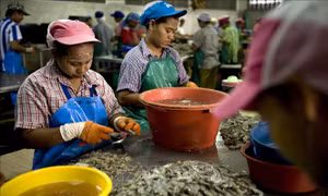 Thái Lan gia hạn giấy phép lao động cho hàng trăm nghìn lao động Lào, Myanmar và Việt Nam