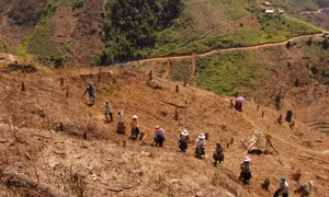 Bài 2: Nguy cơ tái nghèo luôn rình rập