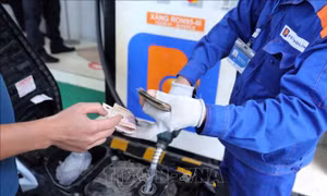 Quỹ bình ổn giá xăng dầu Petrolimex tăng lên 2.555 tỷ đồng