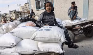 Xung đột Hamas-Israel: Ai Cập ghi nhận thêm chuyến bay chở hàng viện trợ cho Gaza 