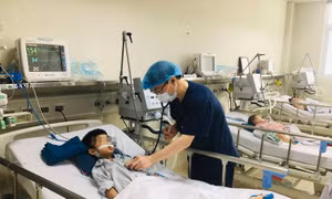 Đắk Lắk: Khuyến cáo người dân chủ động phòng, chống viêm não Nhật Bản