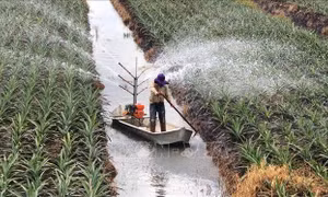 Đoàn kết cùng hành động phục hồi nguồn nước trên toàn cầu