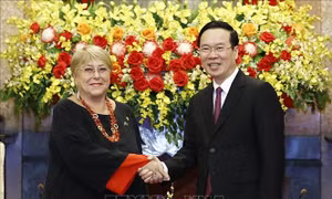 Chủ tịch nước Võ Văn Thưởng tiếp cựu Tổng thống Chile