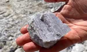 Cuộc đua khai thác 'vàng trắng' giữa các hãng xe điện