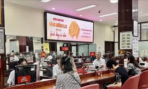 Giá vàng miếng SJC sáng 26/6 tiếp tục đi ngang
