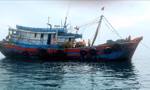 Bắt giữ 4 tàu cá vi phạm trong khai thác hải sản