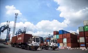 Bộ Công Thương sẽ giải quyết việc mất hàng hồ tiêu