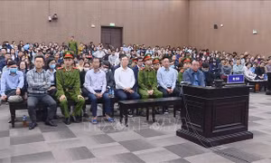 Xét xử vụ án Tân Hoàng Minh: Ranh giới giữa gian dối và chiếm đoạt